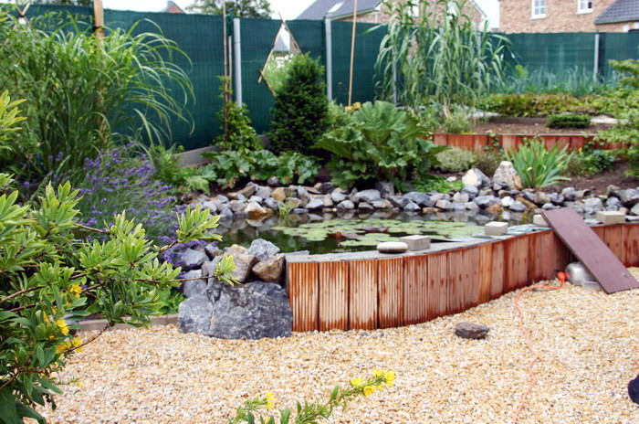 Purnod 6 un jardin japonais de r�ve  2 