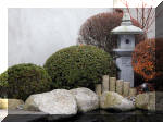 Bassin a ko� et jardin Japonais Richert 1 - suite 1  5 