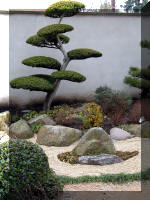Bassin a ko� et jardin Japonais Richert 1 - suite 1  11 