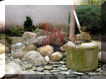 Bassin a ko� et jardin Japonais Richert 1 - suite 1  10 