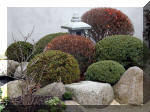 Bassin a ko� et jardin Japonais Richert 1 - suite 1  13 