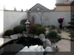 Bassin a ko� et jardin Japonais Richert 1 - suite 1  20 