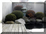 Bassin a ko� et jardin Japonais Richert 1 - suite 1  27 