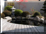 Bassin a ko� et jardin Japonais Richert 1 - suite 2  6 