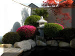 Bassin a ko� et jardin Japonais Richert 1 - suite 2  4 
