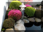 Bassin a ko� et jardin Japonais Richert 1 - suite 2  9 