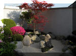 Bassin a ko� et jardin Japonais Richert 1 - suite 2  10 