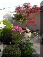 Bassin a ko� et jardin Japonais Richert 1 - suite 2  16 