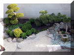 Bassin a ko� et jardin Japonais Richert 1 - suite 2  17 