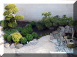 Bassin a ko� et jardin Japonais Richert 1 - suite 2  18 