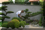 Bassin a ko� et jardin Japonais Richert 1 - suite 2  30 