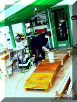 Bassin a ko� et jardin Japonais Richert 2 - la r�abilitation  5 