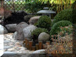 Bassin a ko� et jardin Japonais Richert 2 - la r�abilitation  12 