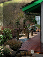 Bassin a ko� et jardin Japonais Richert 2 - la r�abilitation  24 