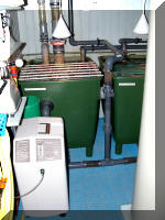 Bassin a ko� et jardin Japonais Richert 2 - La filtration  5 