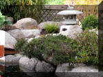 Bassin a ko� et jardin Japonais Richert 2 - les finitions  14 
