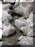 Bassin a ko� et jardin Japonais Richert 2 - les finitions  15 