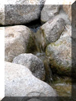 Bassin a ko� et jardin Japonais Richert 2 - les finitions  25 