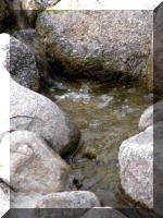 Bassin a ko� et jardin Japonais Richert 2 - les finitions  22 