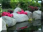 Bassin a ko� et jardin Japonais Richert 2 - les finitions  23 