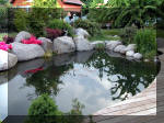 Bassin a ko� et jardin Japonais Richert 2 - les finitions  26 