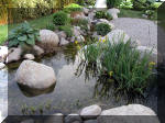 Bassin a ko� et jardin Japonais Richert 2 - les finitions  28 