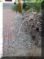 Bassin a ko� et jardin Japonais Richert 2 - les finitions  32 