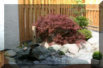 Bassin a ko� et jardin Japonais Richert 2 - Am�nagements  25 