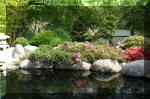 Bassin a ko� et jardin Japonais Richert 2 - Am�nagements  27 