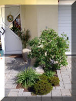 Bassin a ko� et jardin Japonais Richert 3 - Le jardin Japonais  10 