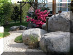 Bassin a ko� et jardin Japonais Richert 3 - Le jardin Japonais  25 