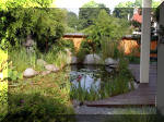 Bassin a ko� et jardin Japonais Richert 4 - Le jardin Japonais  24 