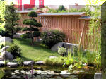 Bassin a ko� et jardin Japonais Richert 4 - Le jardin Japonais  26 