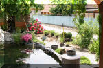 Bassin a ko� et jardin Japonais Richert 5 - Le jardin Japonais  3 