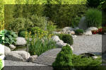 Bassin a ko� et jardin Japonais Richert 5 - Le jardin Japonais  7 