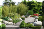 Bassin a ko� et jardin Japonais Richert 5 - Le jardin Japonais  8 