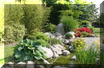 Bassin a ko� et jardin Japonais Richert 5 - Le jardin Japonais  14 