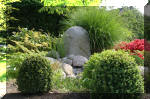 Bassin a ko� et jardin Japonais Richert 5 - Le jardin Japonais  16 