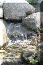 Bassin a ko� et jardin Japonais Richert 5 - Le jardin Japonais  12 