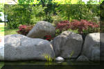 Bassin a ko� et jardin Japonais Richert 5 - Le jardin Japonais  29 