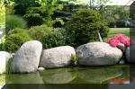 Bassin a ko� et jardin Japonais Richert 5 - Le jardin Japonais  33 