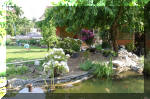 Bassin a ko� et jardin Japonais Richert 5 - Le jardin Japonais  30 