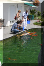 Aquamarathon alsacien AS aberle un bassin � ko� exceptionnel  17 