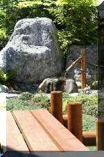 Aquamarathon alsacien le bassin de jardin de Bandito et ces ko�  3 