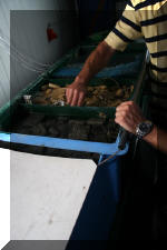 Aquamarathon alsacien importateur de ko� et inventeur de filtration  5 