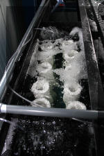 Aquamarathon alsacien importateur de ko� et inventeur de filtration  2 