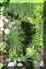 Aquamarathon alsacien un bassin a ko� champion dans les ko� show  16 