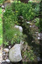 Aquamarathon alsacien un bassin a ko� champion dans les ko� show  14 