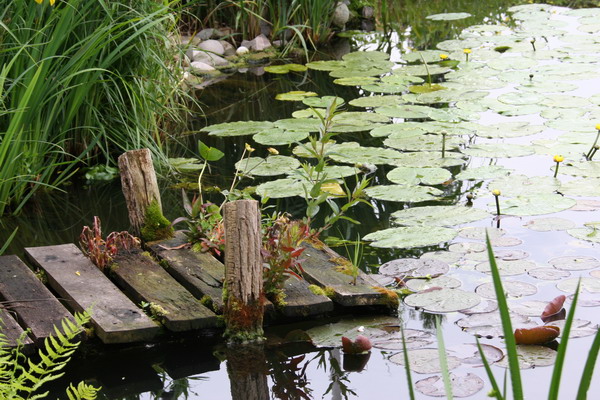 Aquamarathon alsacien un bassin a ko� champion dans les ko� show  2 