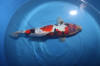 Danny's koi caf� Hunting 2009 : Hiroi koi farm page 3  41 